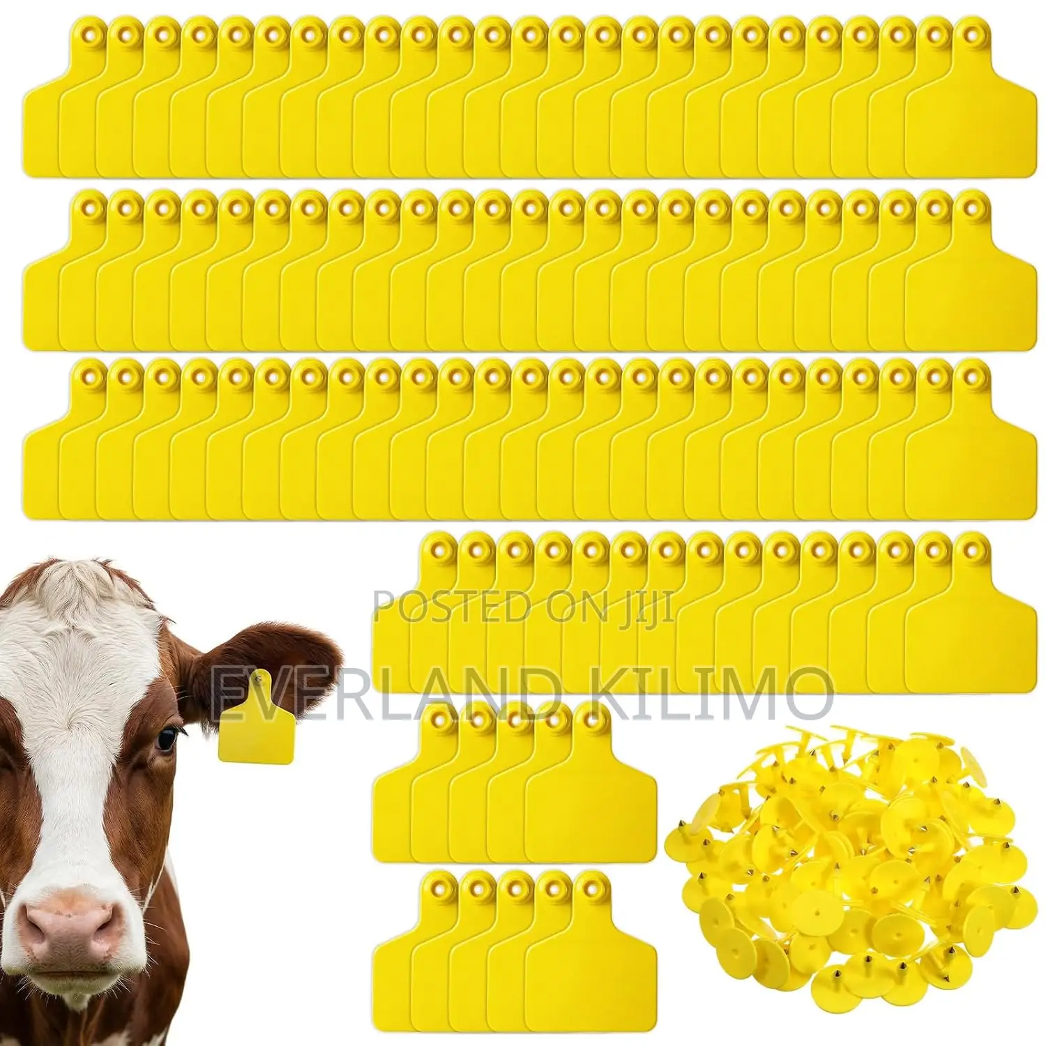 Plastic Livestock Identification Tags for Cow