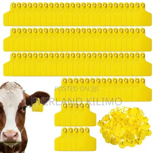 Plastic Livestock Identification Tags for Cow