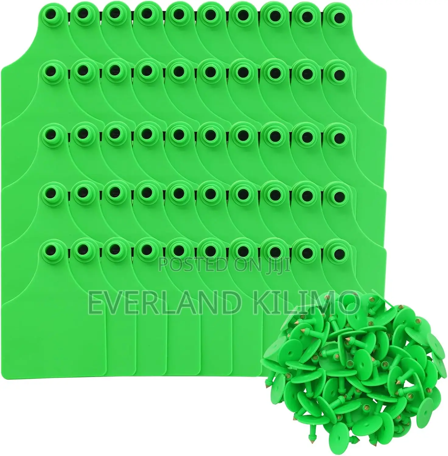 Keep Your Livestock Organized With Ample Tags for Identification
