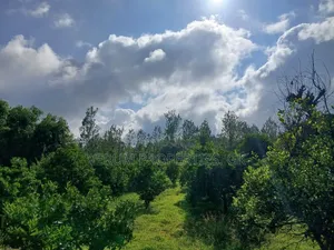 Macvast Gatanga Land for Sale