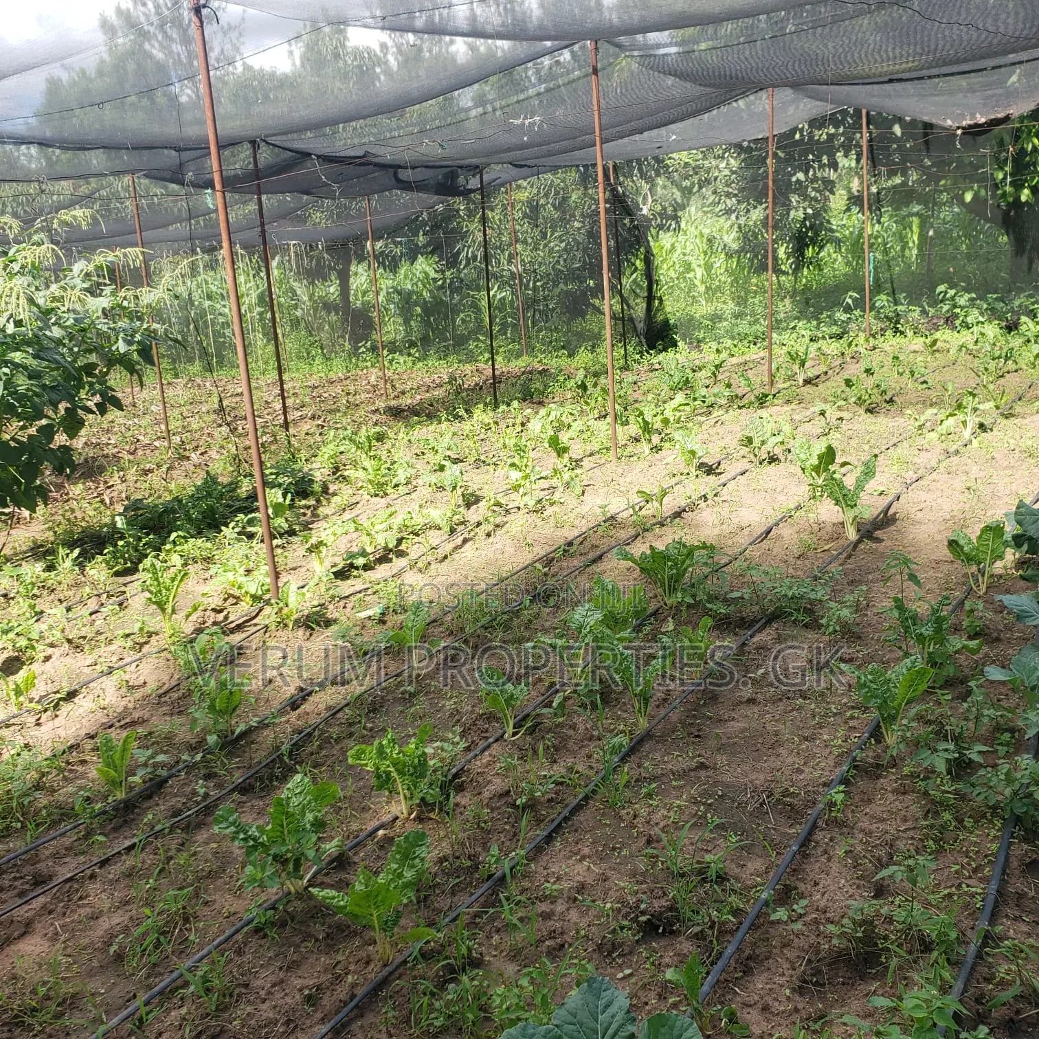 Macvast Gatanga Land for Sale