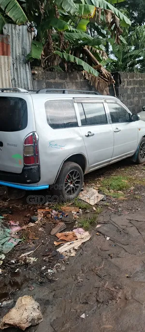 Toyota Probox 2004 Silver