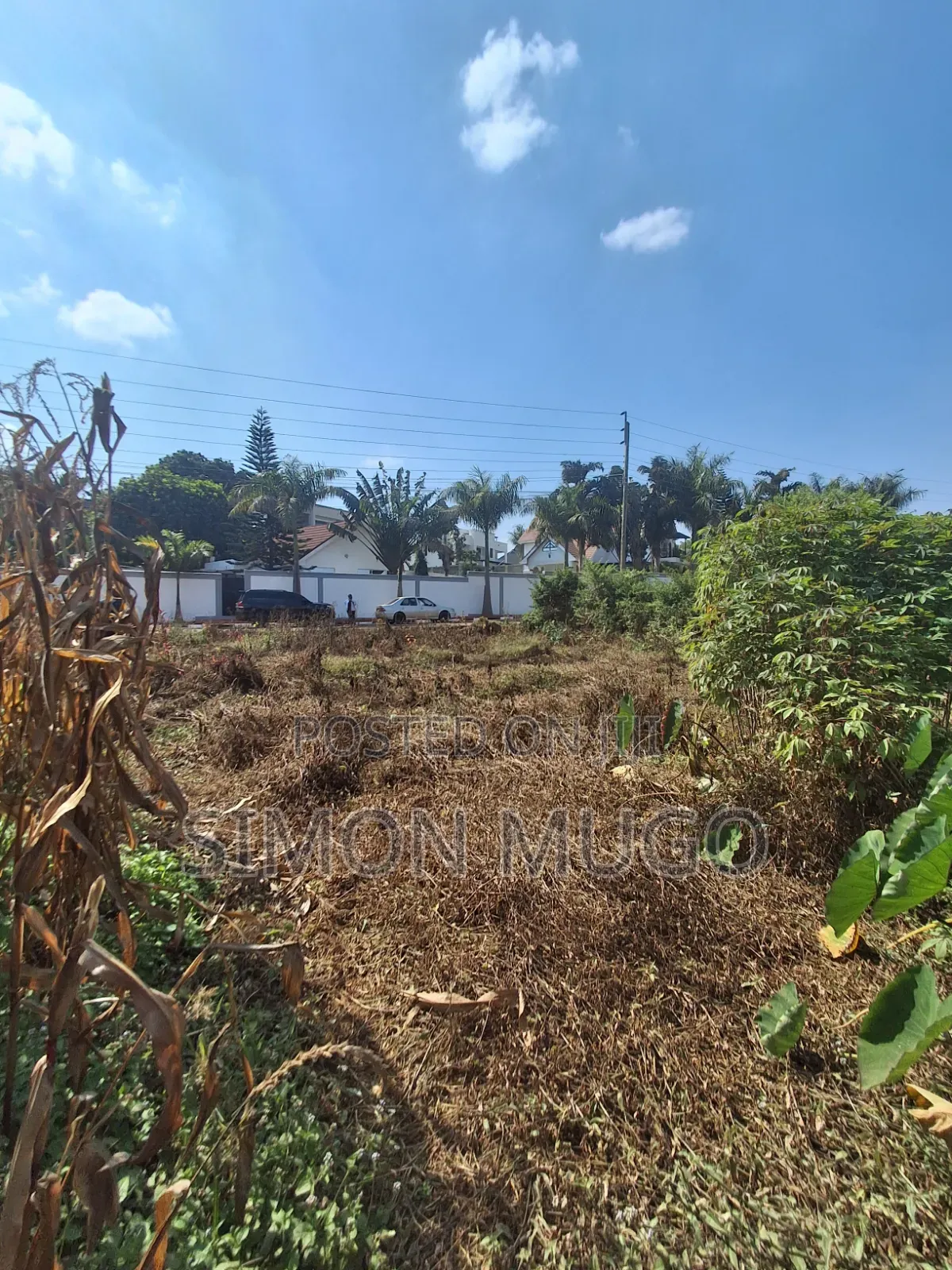 Mushrooms Gardens Kiambu Road Prime Secure Fully Serviced 1/2 Acre