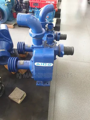 Aico Bare Pump