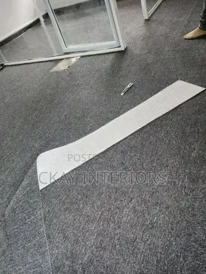 Bring Refined Softness Into Your Living Space With Wall to Wall Carpet