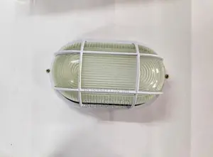 Oval Bulkhead Wall and Ceiling Light Fitting