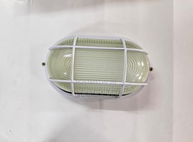 Oval Bulkhead Wall and Ceiling Light Fitting