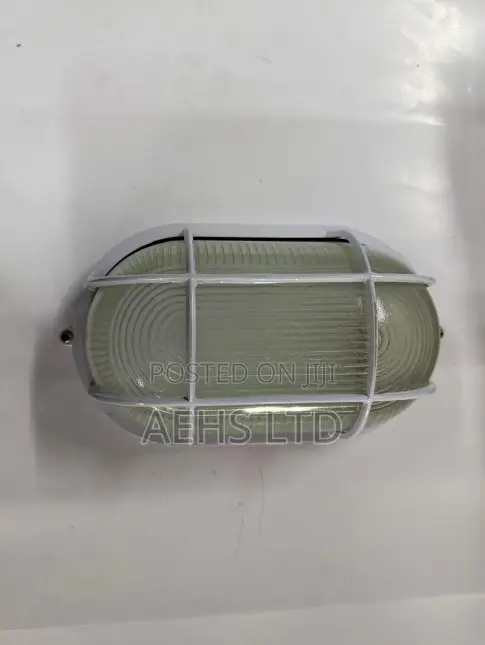 Oval Bulkhead Wall and Ceiling Light Fitting