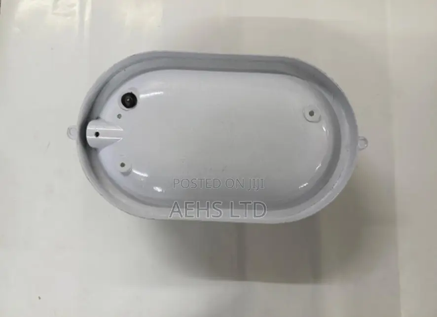 Oval Bulkhead Wall and Ceiling Light Fitting
