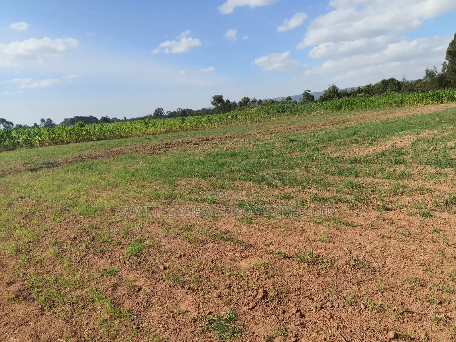50 Acres With a Borehole Is Available for Lease in Nyandarua Kasuku