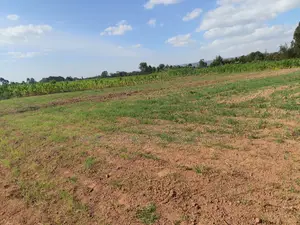 50 Acres With a Borehole Is Available for Lease in Nyandarua Kasuku
