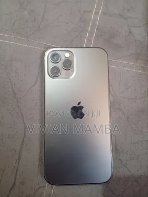Apple iPhone 12 Pro 256 GB Gray