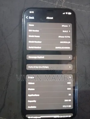 Apple iPhone 12 Pro 256 GB Gray