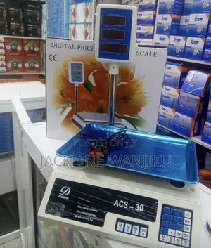 Digital Acs 30 Weighing Scale /Weighing Scale Digital Acs for Butchery