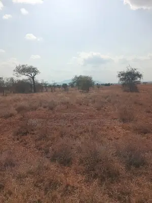 240 Acres in Emali Town Mombasa Road Is Available for Sale