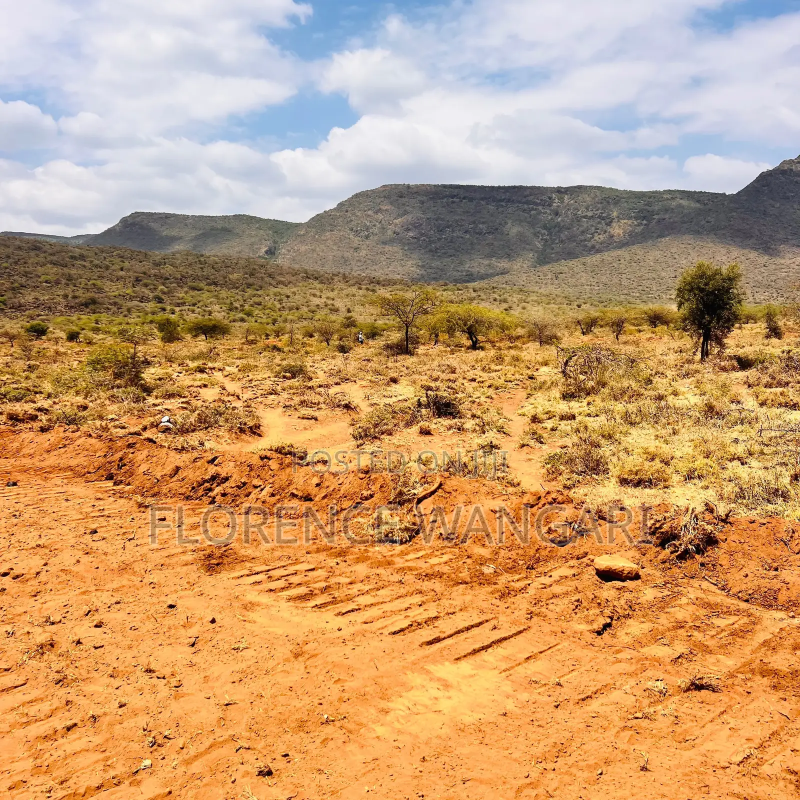 50*100 Plots for Sale in Nguirubi Thigio at