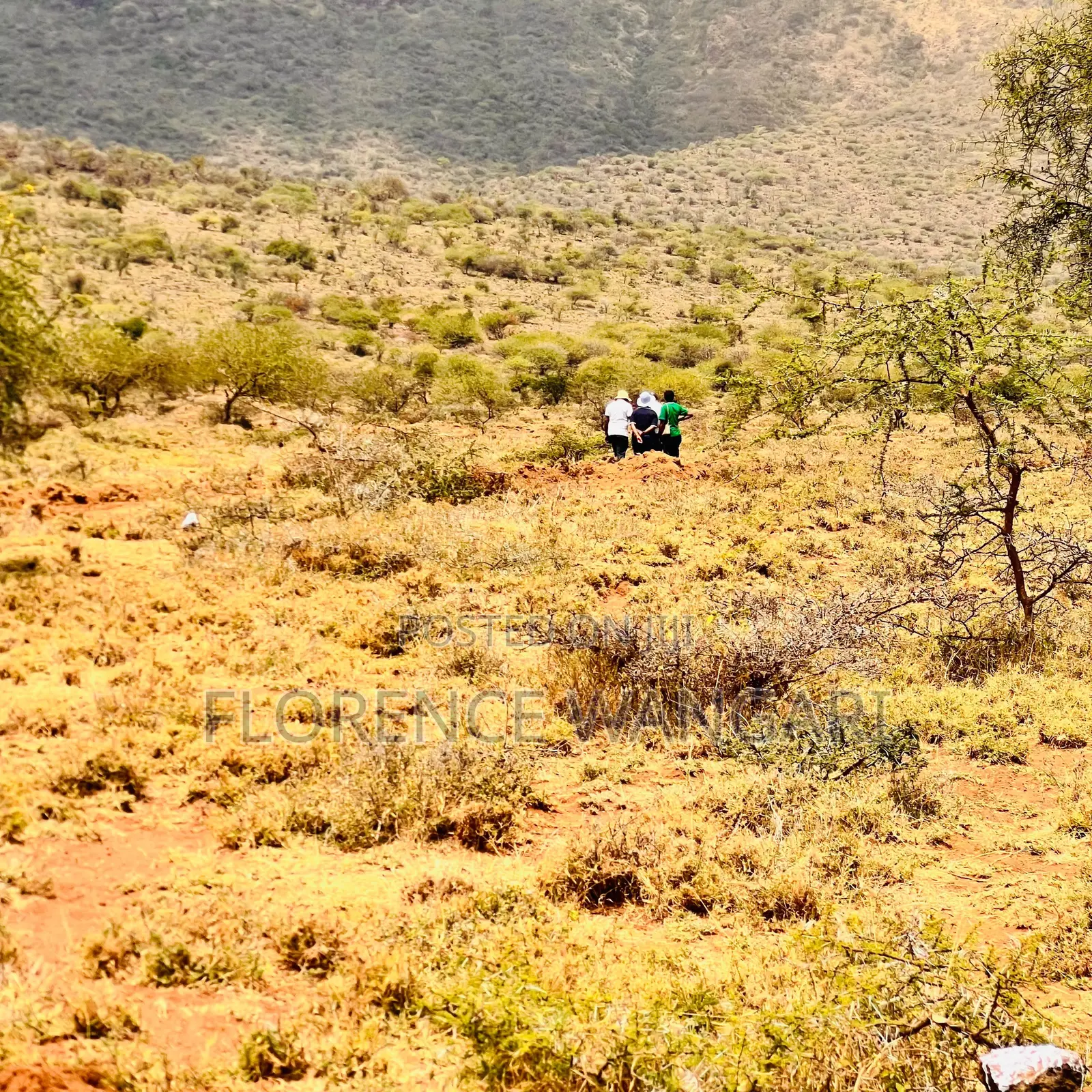 50*100 Plots for Sale in Nguirubi Thigio at