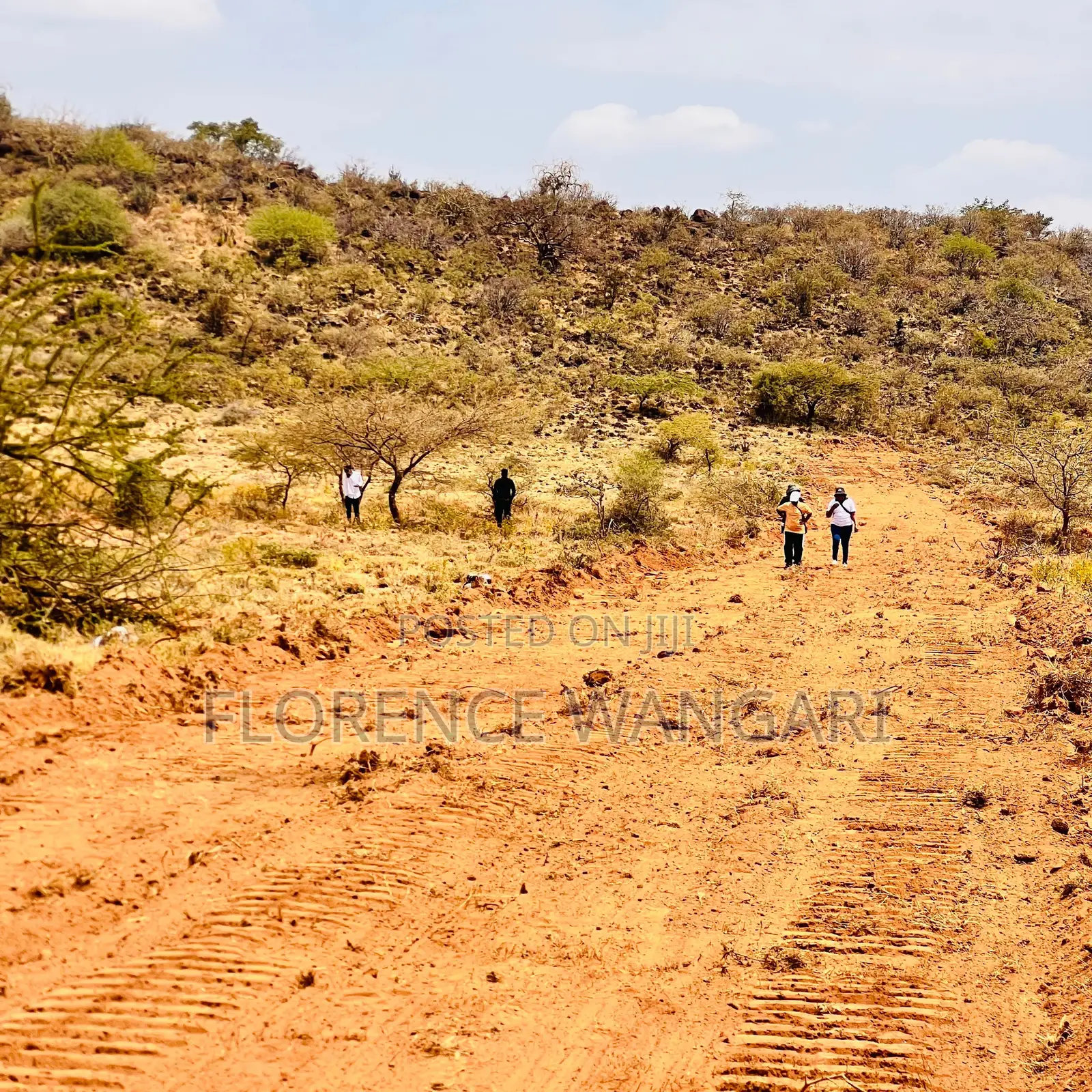 50*100 Plots for Sale in Nguirubi Thigio at