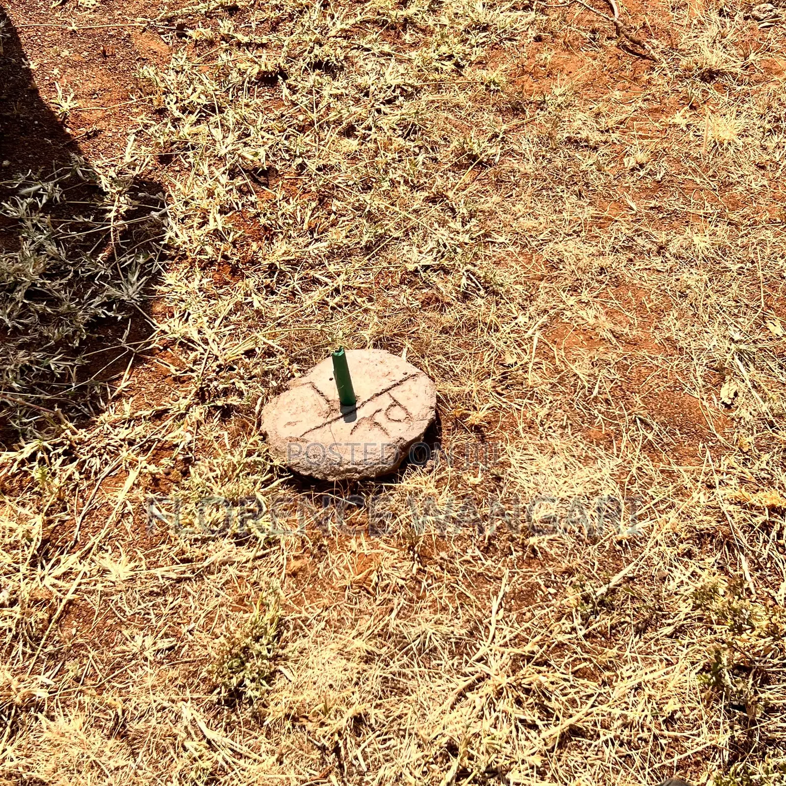 50*100 Plots for Sale in Nguirubi Thigio at