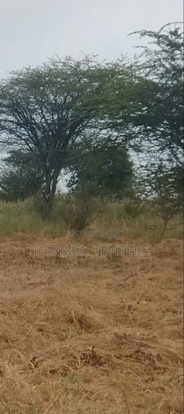 Land for Sale 600m Imaroro Town Near Tarmac Road 1,000,000 Per Acre