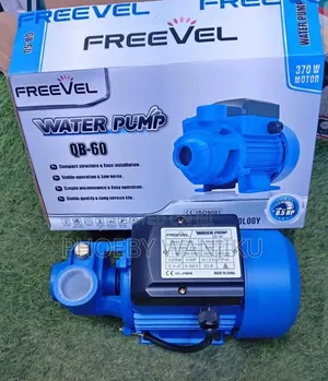 Freevel Water Booster Pump/Electric Water Pump QB60