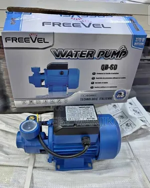 Professional Freevel Water Pump/Qb60 Water Booster Pump
