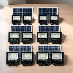 Factory Direct Prices 100W,200W,300W Watts Double Solar Floodlights