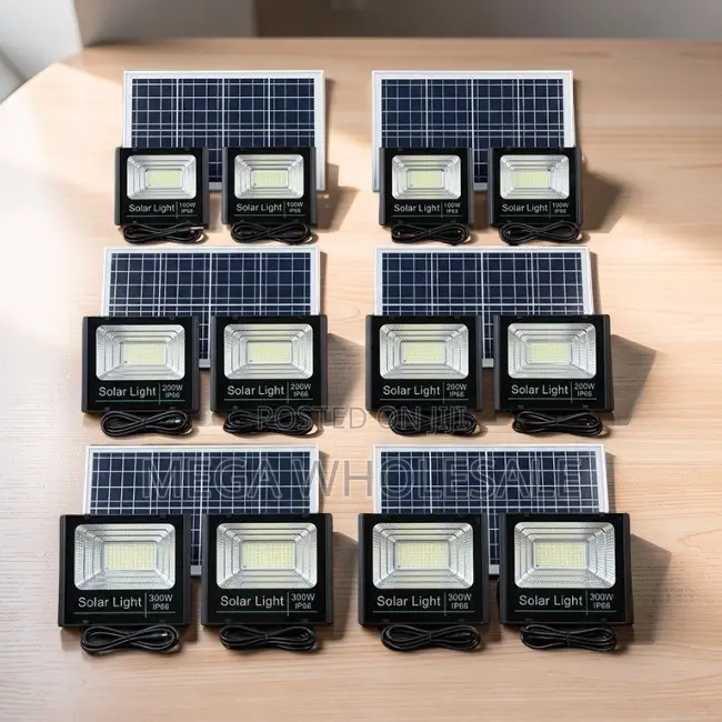 Factory Direct Prices 100W,200W,300W Watts Double Solar Floodlights