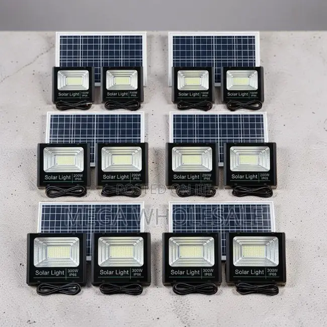 Direct Factory Prices 100W,200W,300W Watts Double Solar Floodlights