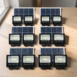 Low Prices Bright 100W,200W,300W Watts Double Solar Floodlights