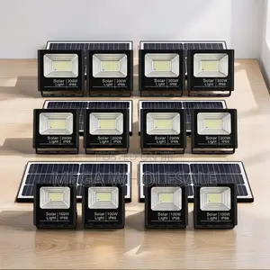 Wholesale Deals 100W,200W,300W Watts Double Solar Floodlights