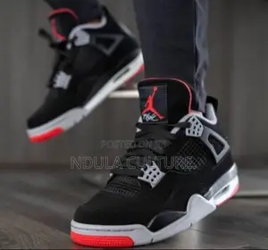 Jordan 4 Bred Re Imagined