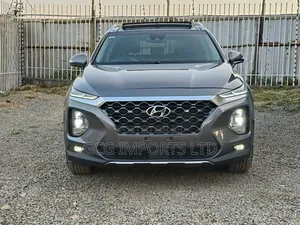 Hyundai Santa Fe 2020 Gray