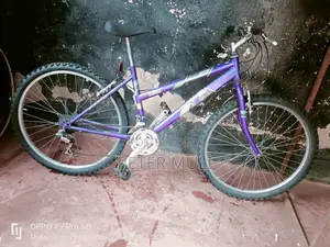 Mountain Bicycle