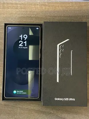 Samsung Galaxy S25 Ultra 256 GB Gray
