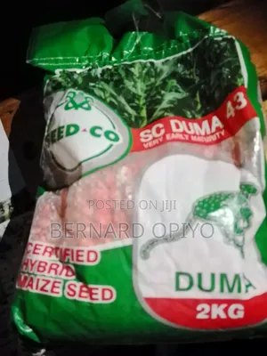 Quality Grains and Cereal for Sale