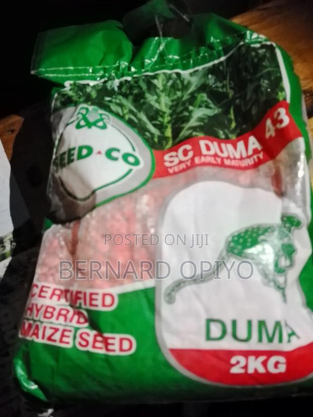 Quality Grains and Cereal for Sale