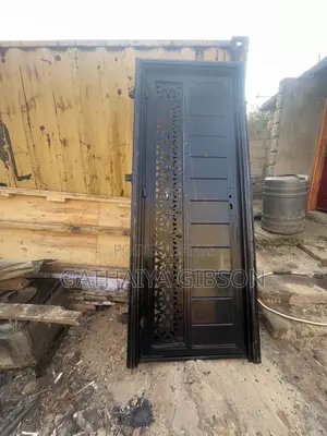 Modern Metal Doors