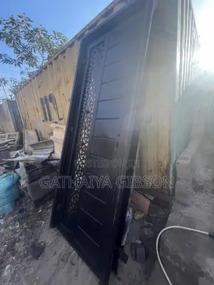Modern Metal Doors