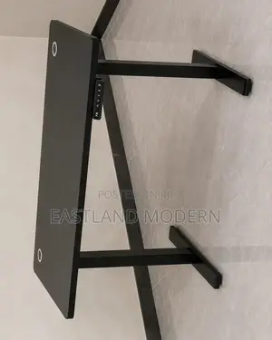Electric Height Adjustable Standing Desk