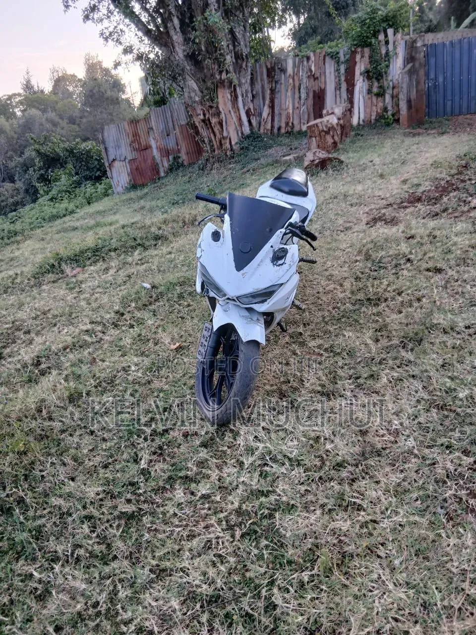 Kawasaki 2018 White