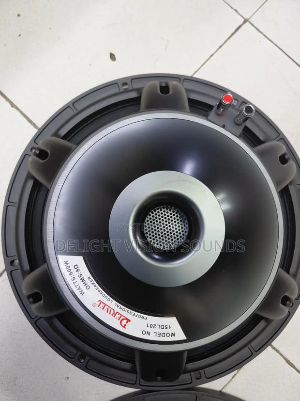 Derwel 15 Inches Speaker