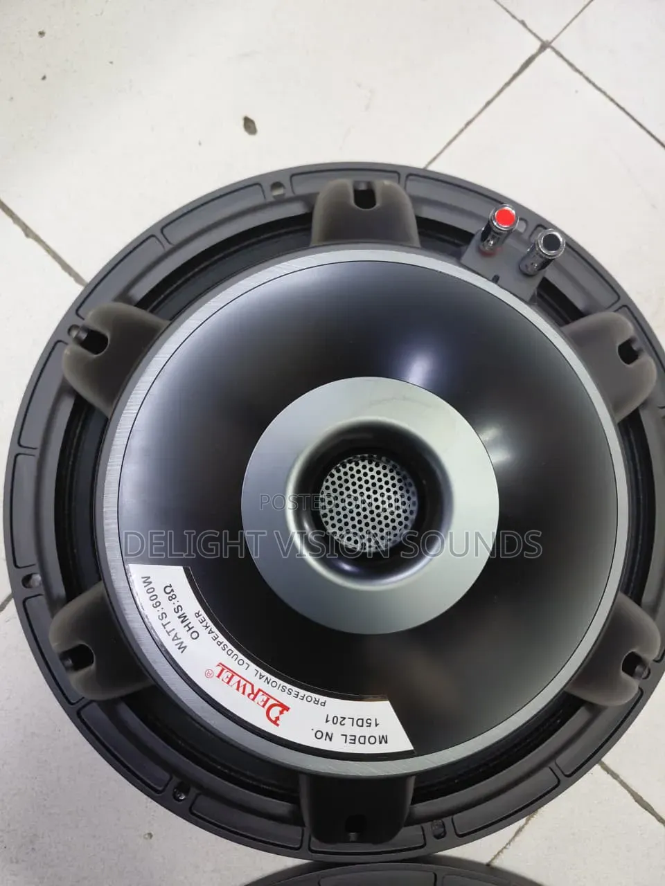 Derwel 15 Inches Speaker