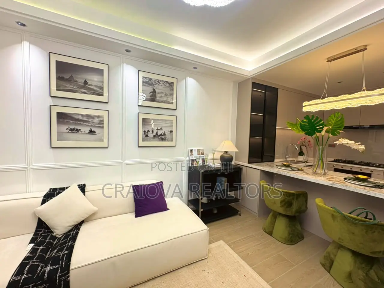 Furnished 2bdrm Apartment in Spring Valley for sale