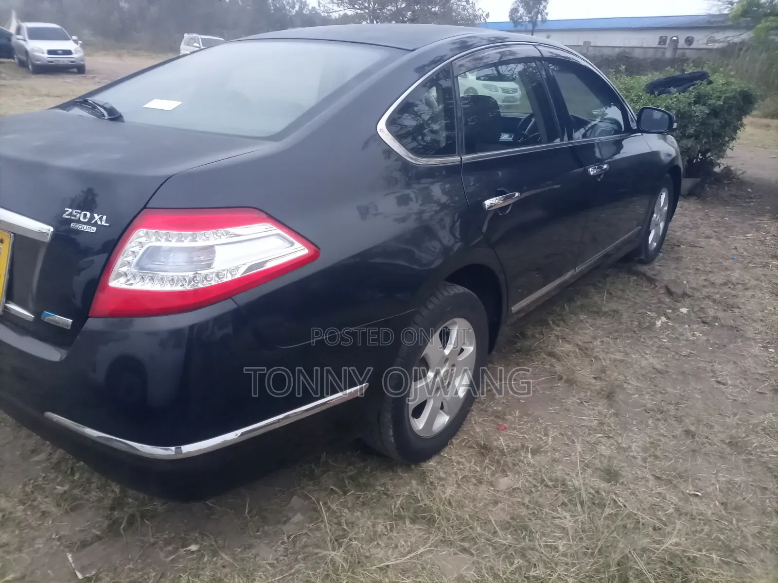 Nissan Teana 2014 Blue