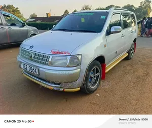 Toyota Probox 2014 Silver