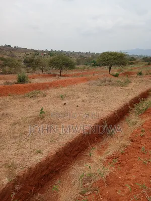Selling a 2 Acre Parcel of Land at Kithimani