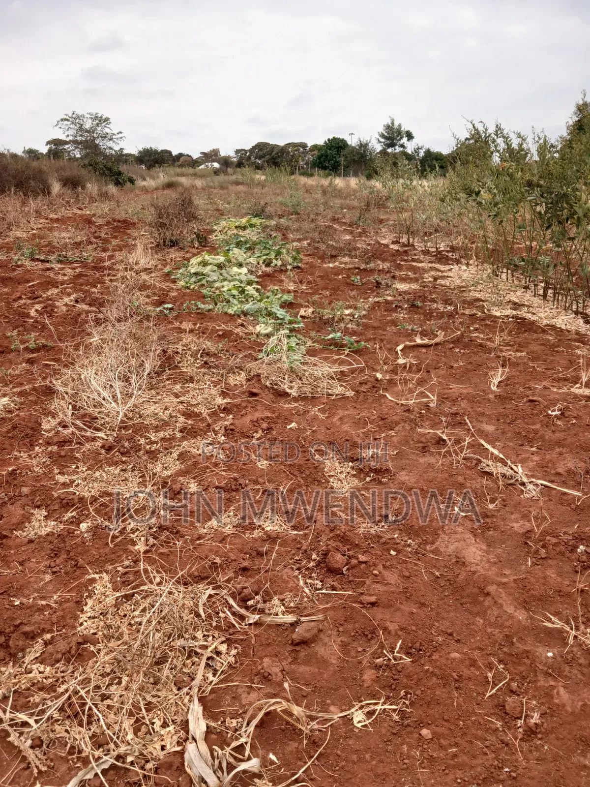 Selling a 2 Acre Parcel of Land at Kithimani