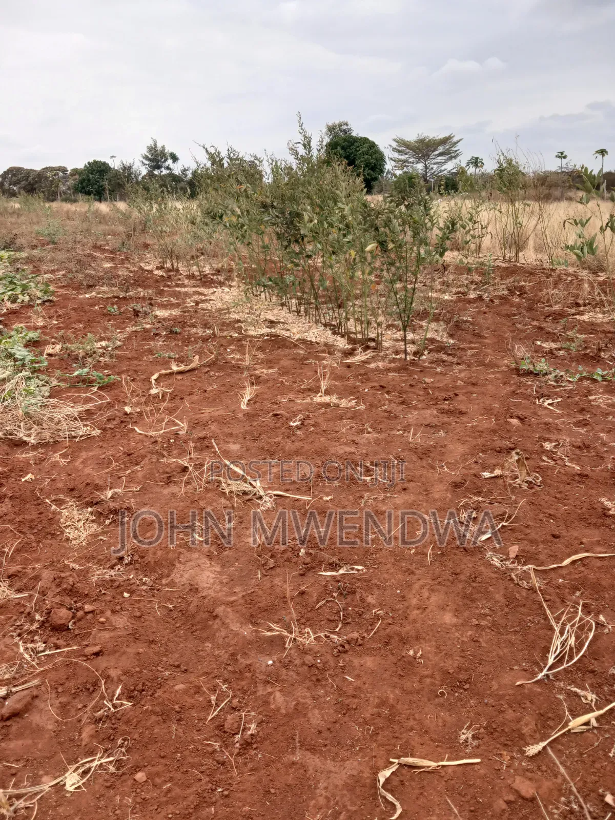 Selling a 2 Acre Parcel of Land at Kithimani