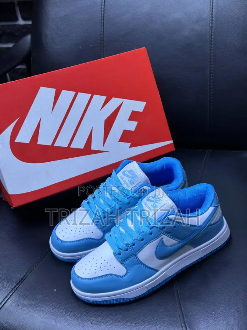 Nike Sb Dunk